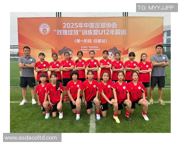 2025年足球球星女博主影响力排行榜前十名分析与评价